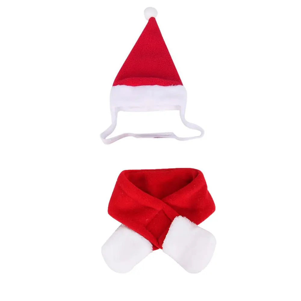Peture® Reindeer Antlers & Santa Cloak