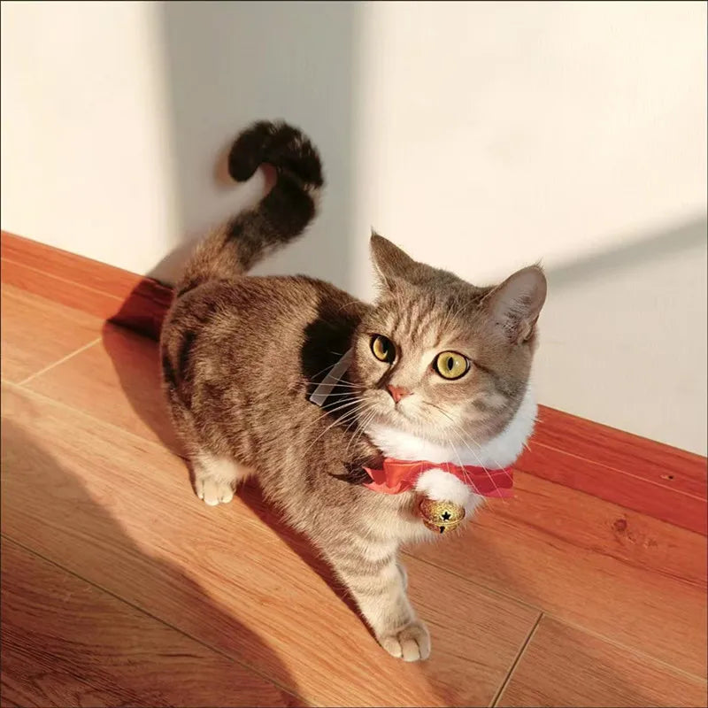 Peture® Christmas Bow Collar