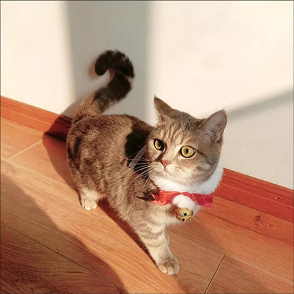 Peture® Christmas Bow Collar
