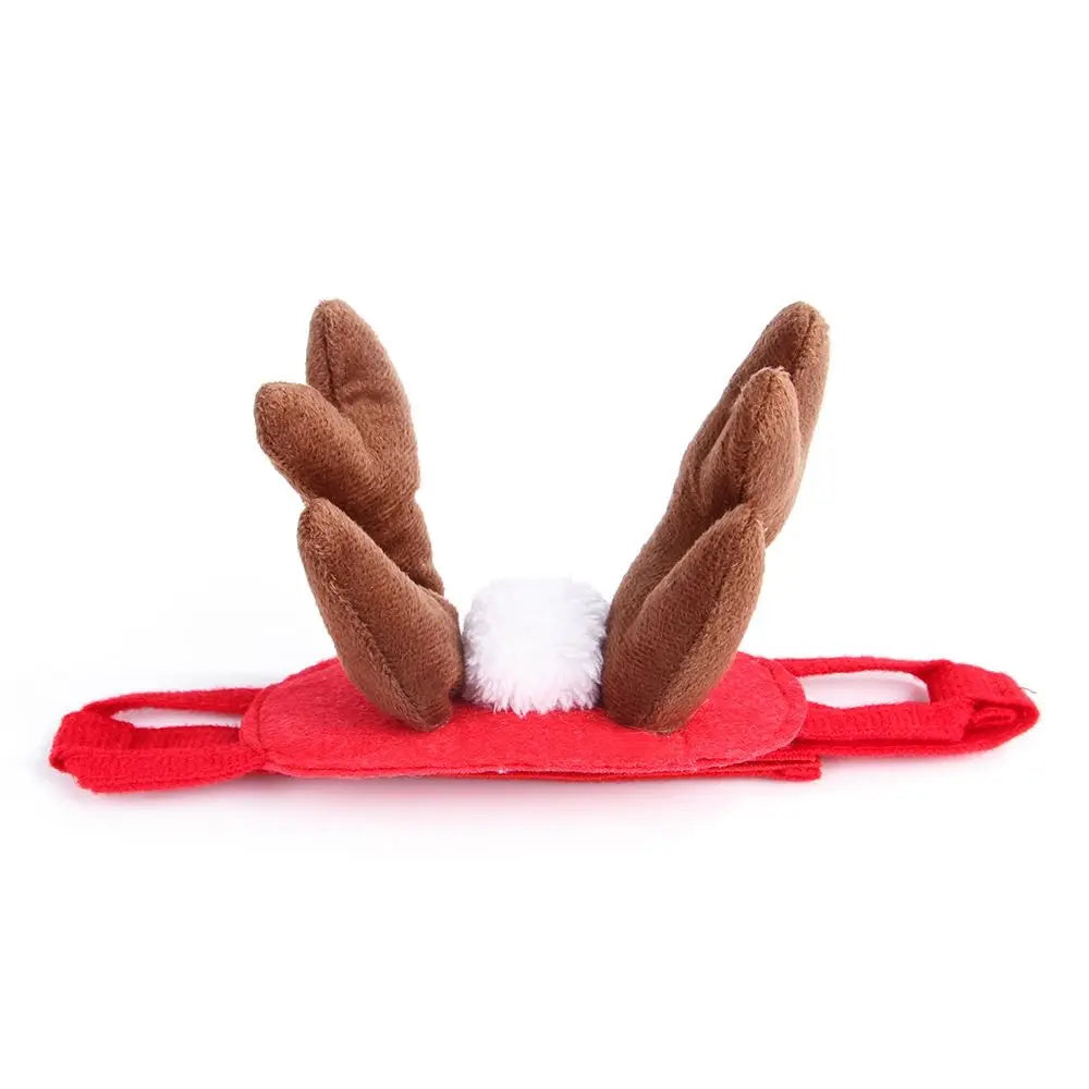 Peture® Reindeer Antlers & Santa Cloak
